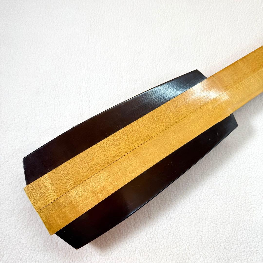 テイスコ　TEISCO スチールギター 6弦 ジャパンビンデージ