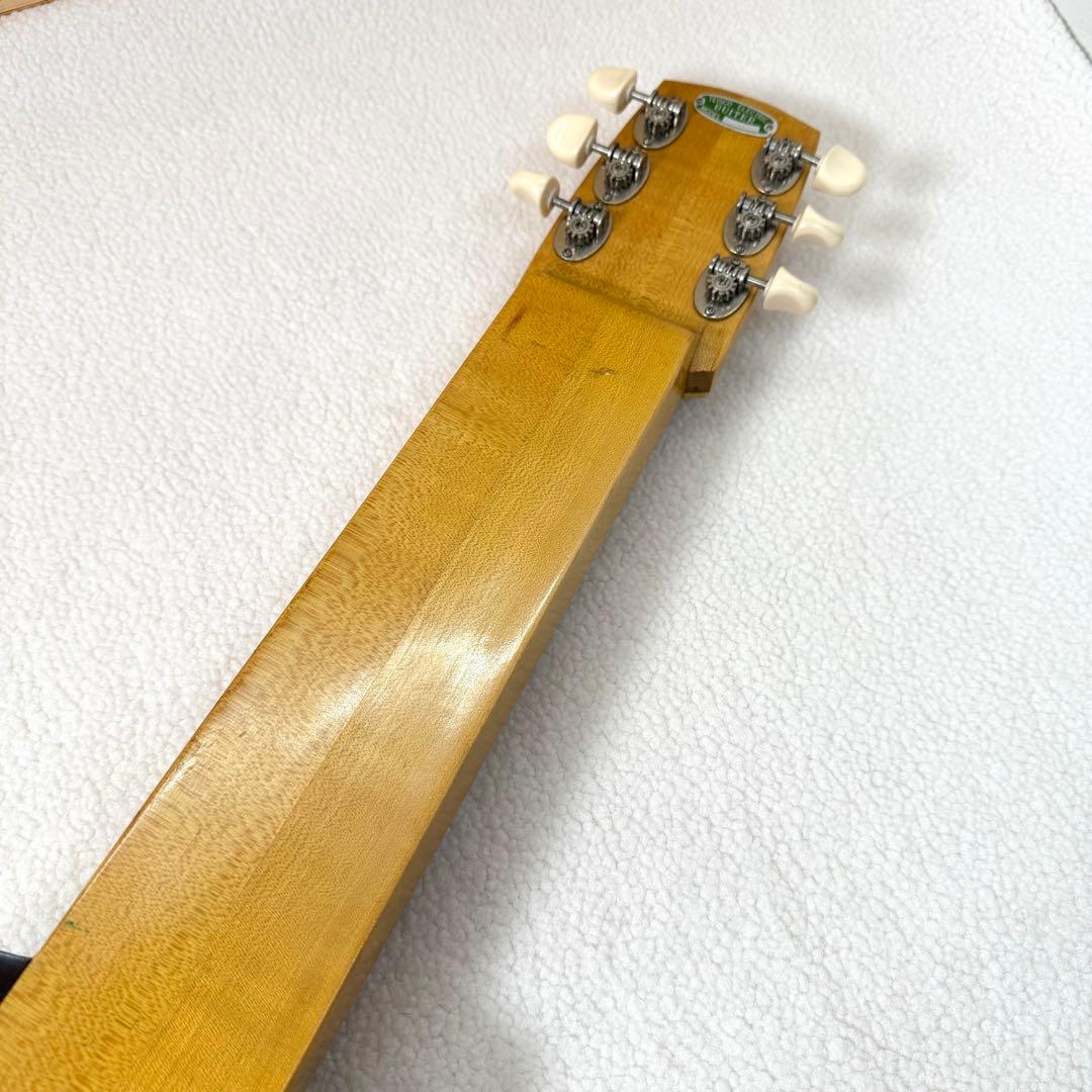 テイスコ　TEISCO スチールギター 6弦 ジャパンビンデージ