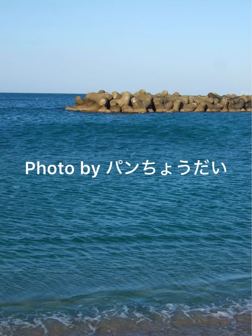 動作確認済み 富士フィルム FINEPIX F31fd スマホ転送 6点セット