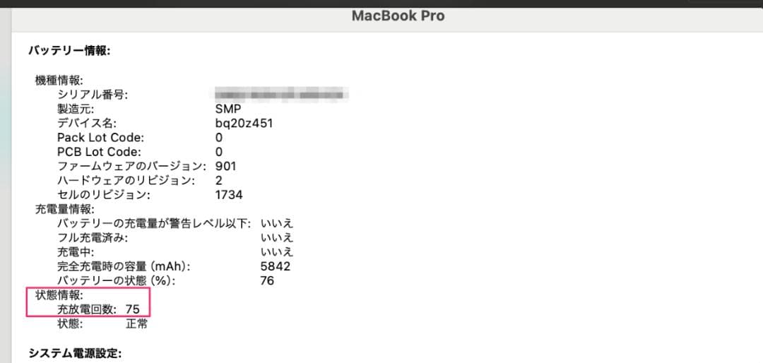 MacBook Pro 2019 Core i9 充電75回