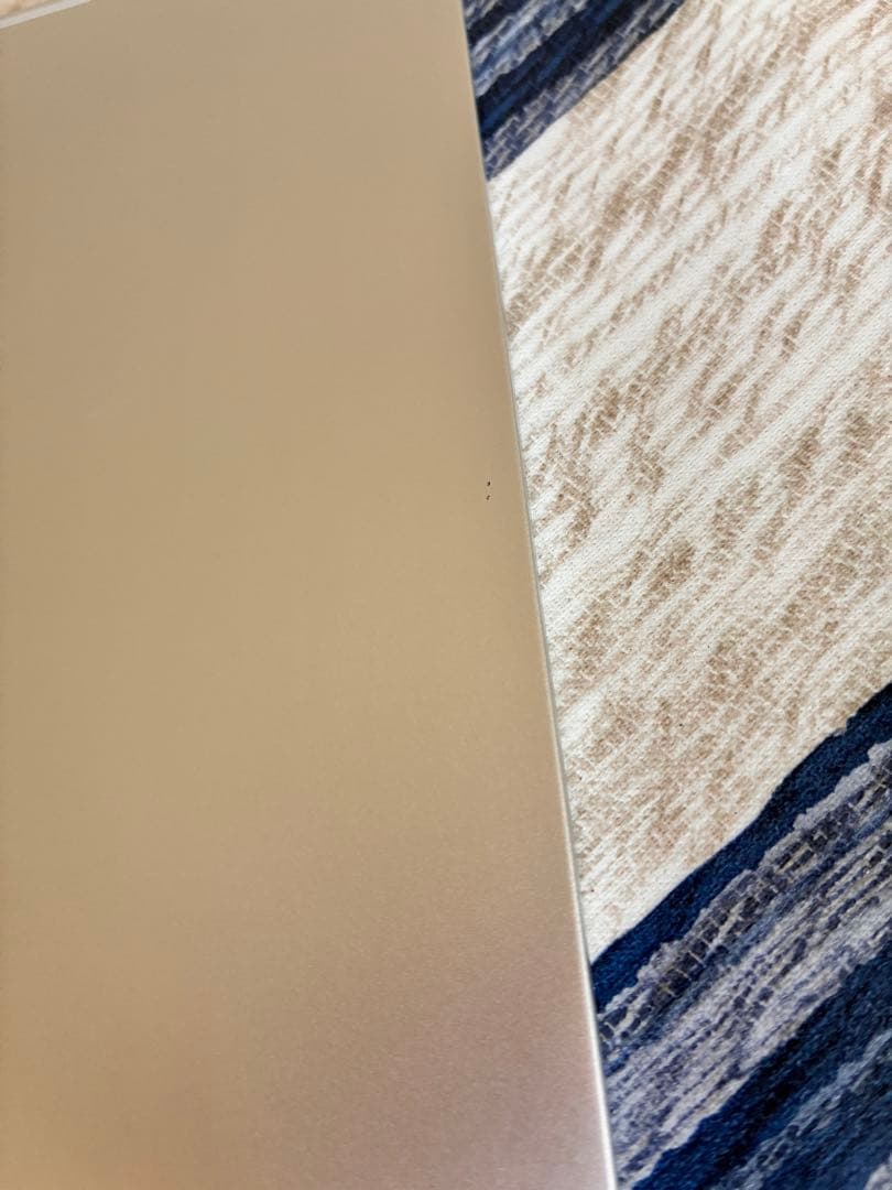 iPad Pro 12.9インチ　３世代　1TB 本体のみ