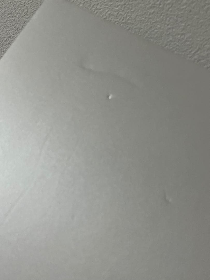 t*a様 きゅーすと 板倉可奈 抽選会 ラブトレ A3パネル