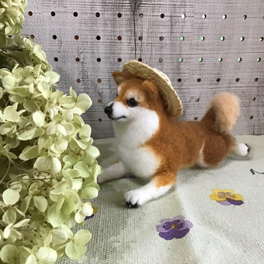 怒る柴犬❗️（夏仕様）