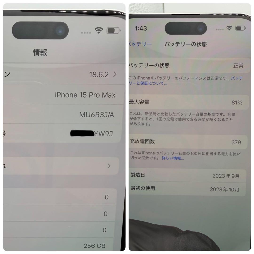 【美品】iPhone 15 Pro Max 256GB 国内版SIMフリー