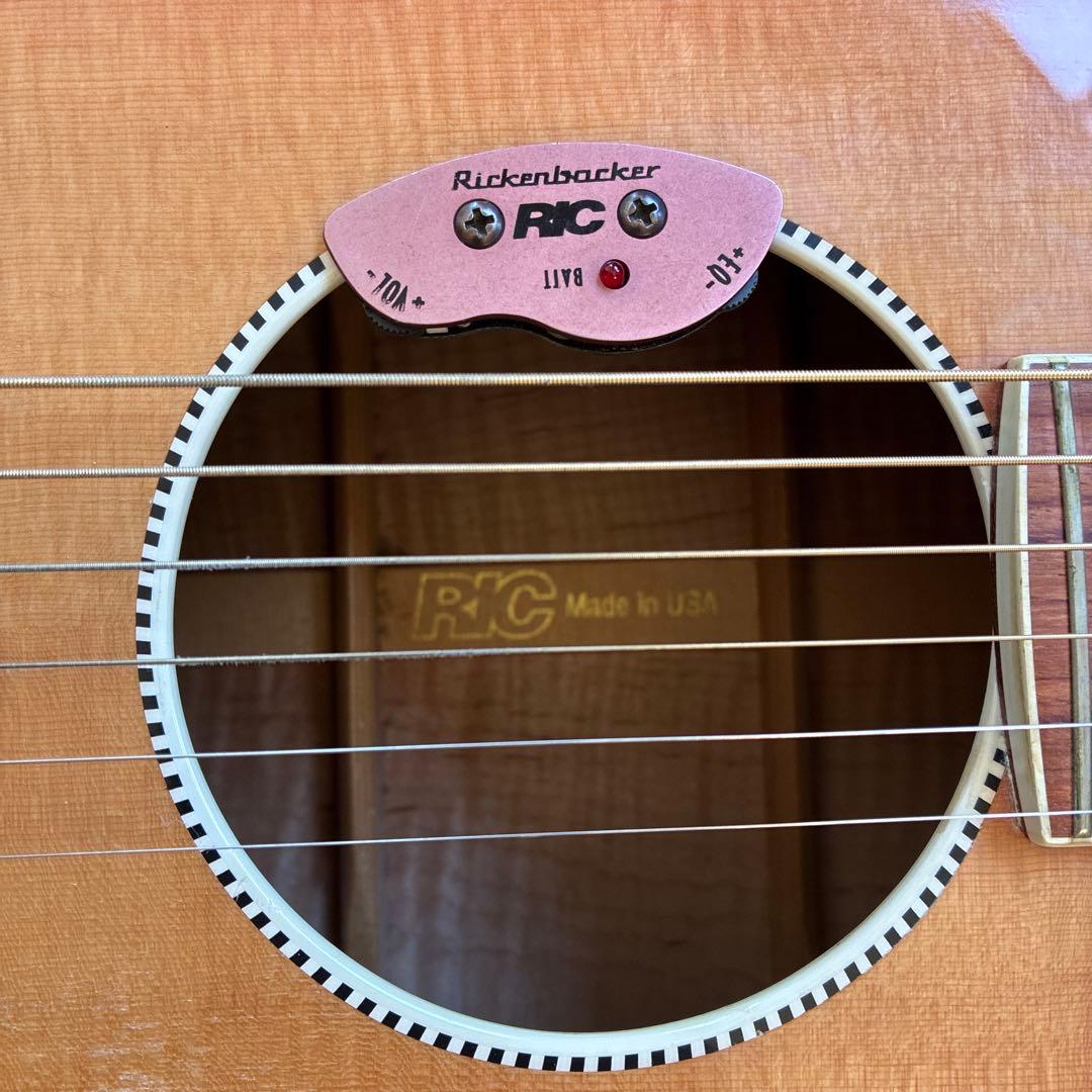 リッケンバッカー　アコースティックギター