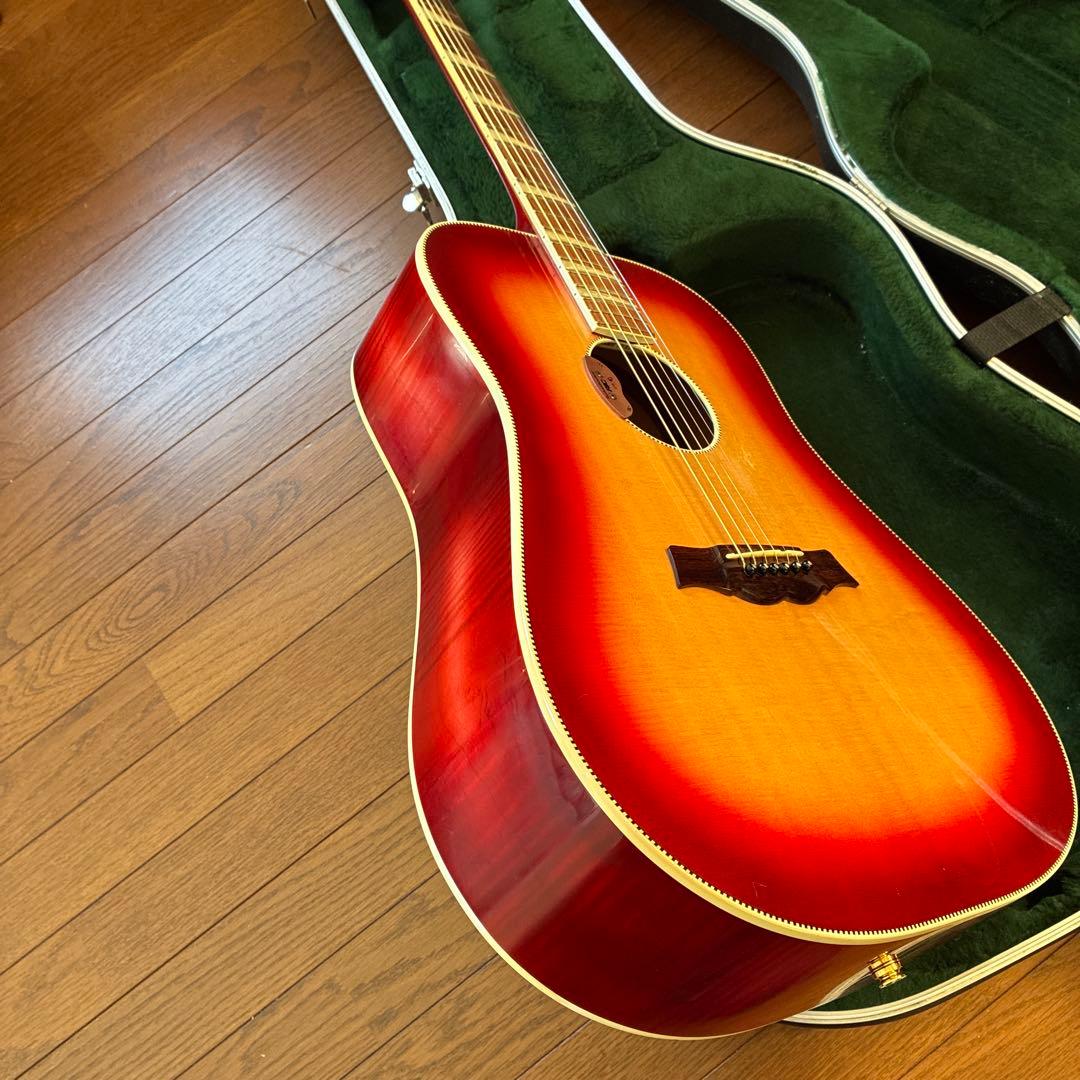 リッケンバッカー　アコースティックギター