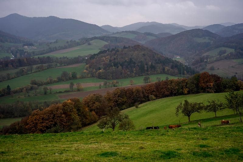 55 　美品　初期型　ジュピター 8 　2/50 L39　分解洗浄済み