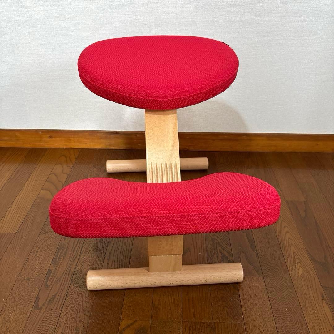 【美品】バランスイージー 通常フレーム レッド