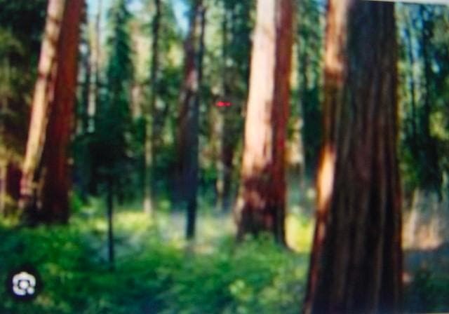 Apple iMac シルバー 元箱付き