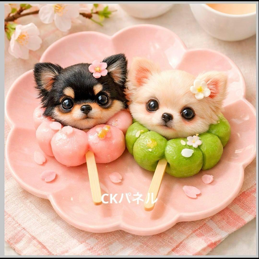 激レアお団子パグ、ポメラニアン、チワワ、マルチーズ、柴犬、トイプーパネル生地