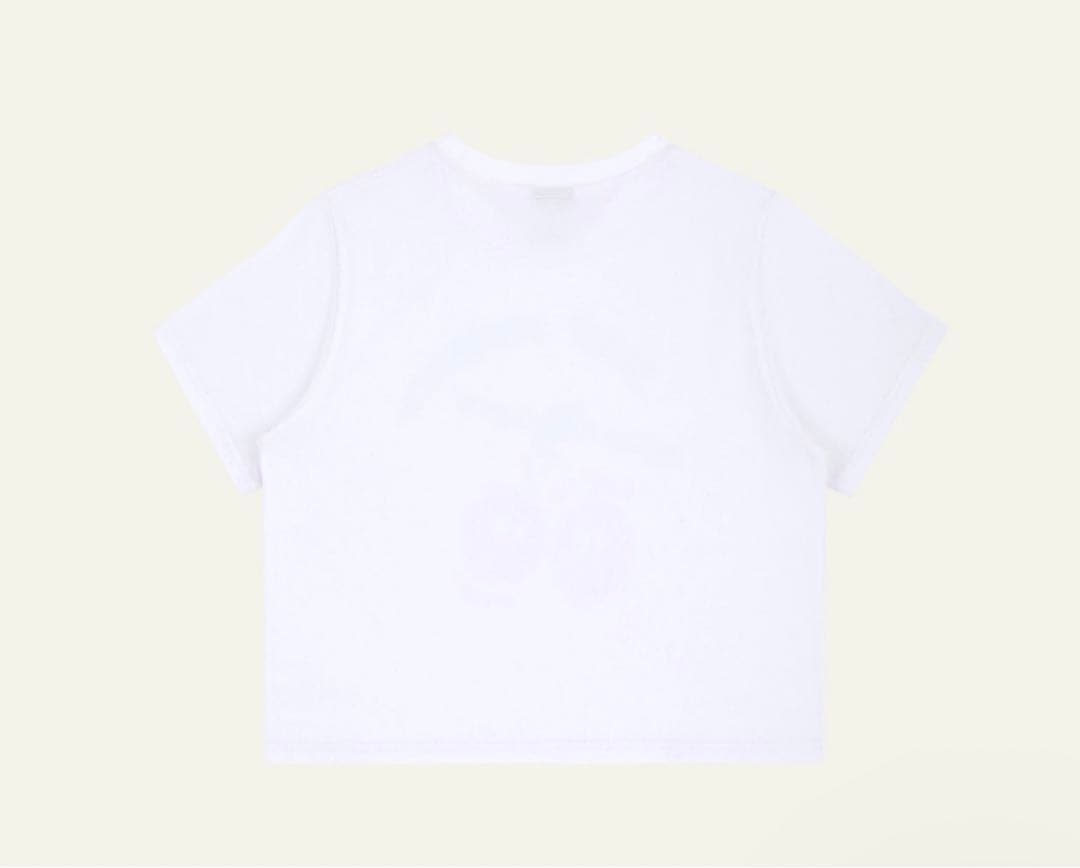 ReinSein クロップドTシャツ
