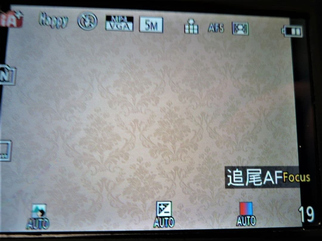 LUMIX FZ200 デジタル一眼レフカメラ