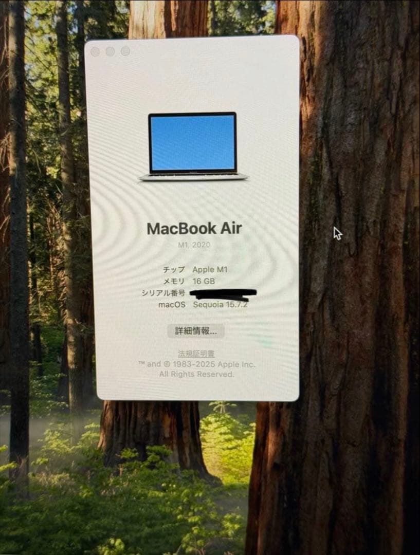 Apple MacBook Air M1 13.3インチ 16GB 216GB