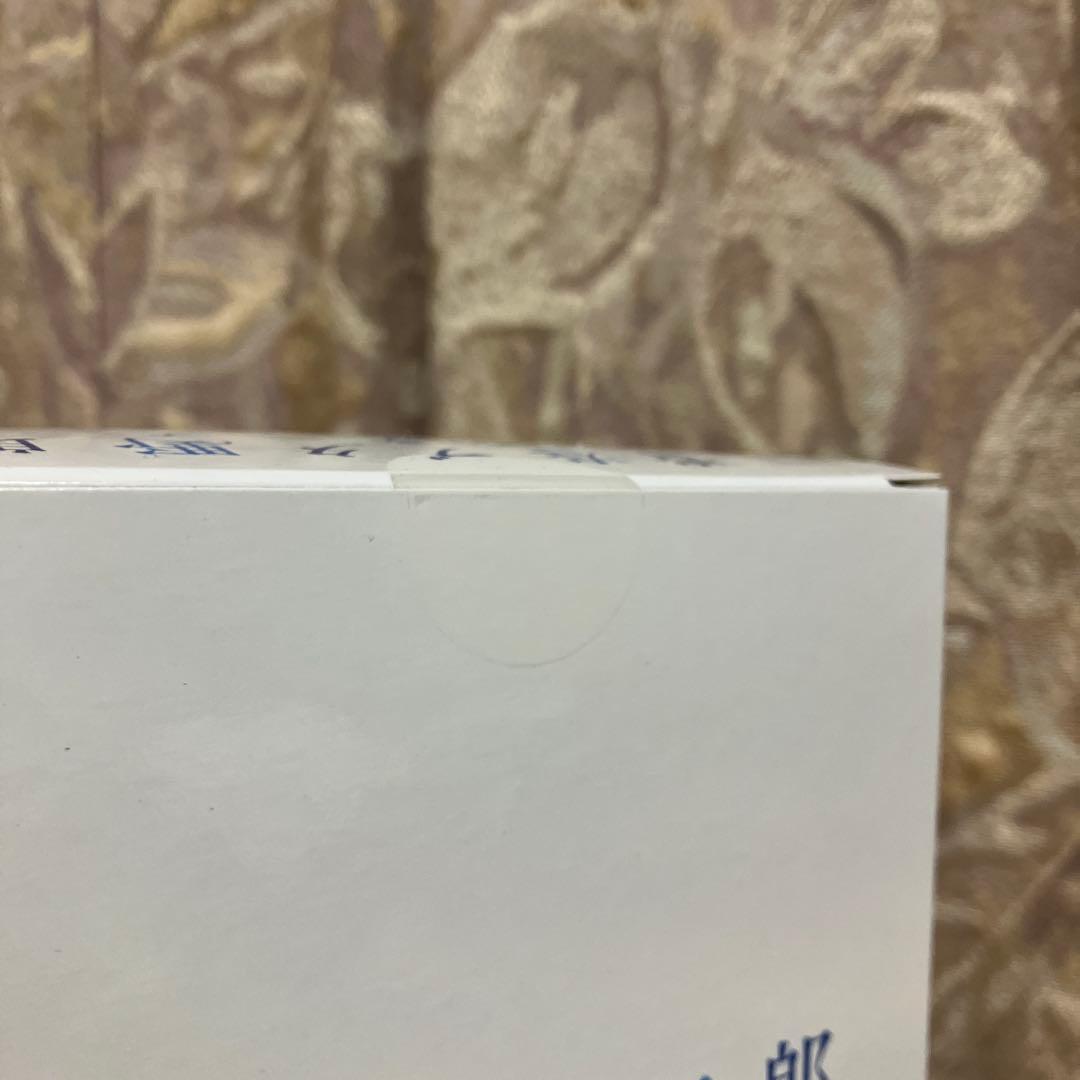 青春ブタ野郎シリーズ 桜島麻衣 バニーver. ノンスケールフィギュア