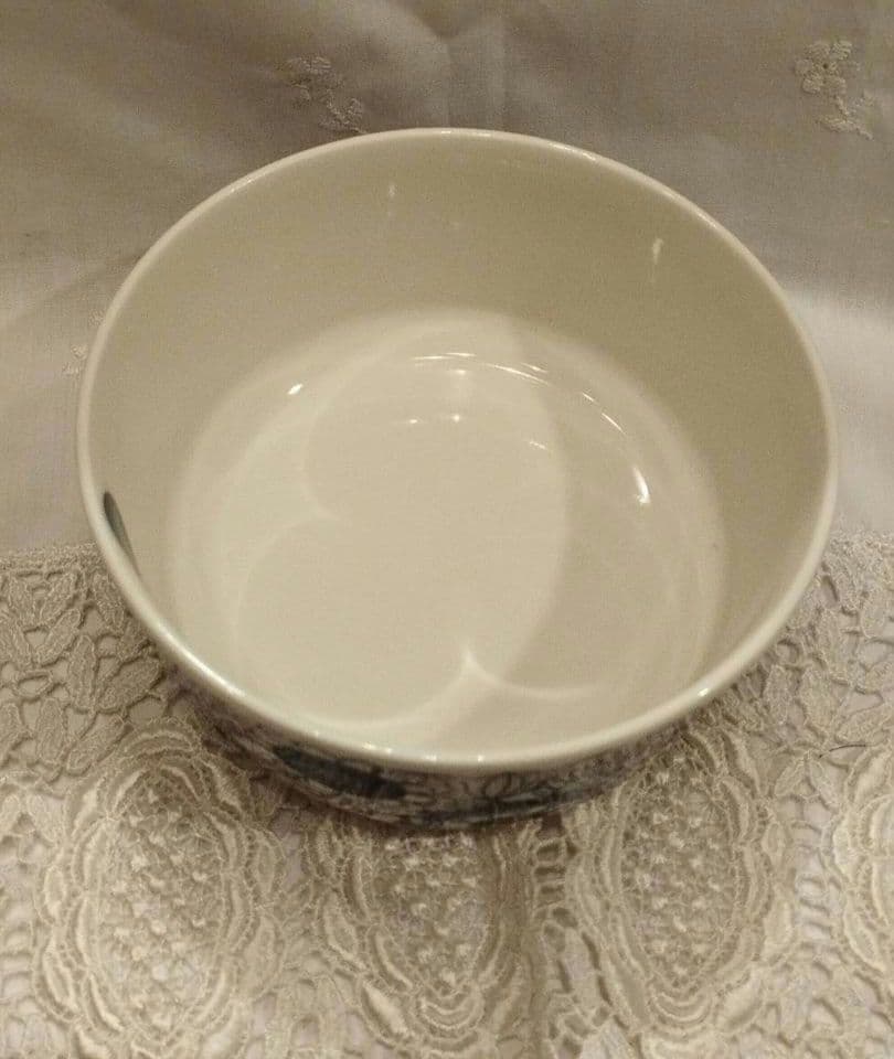 未使用　アラビア　パストラーリ　お皿2枚&ボウル&マグカップ各1個の4点セット