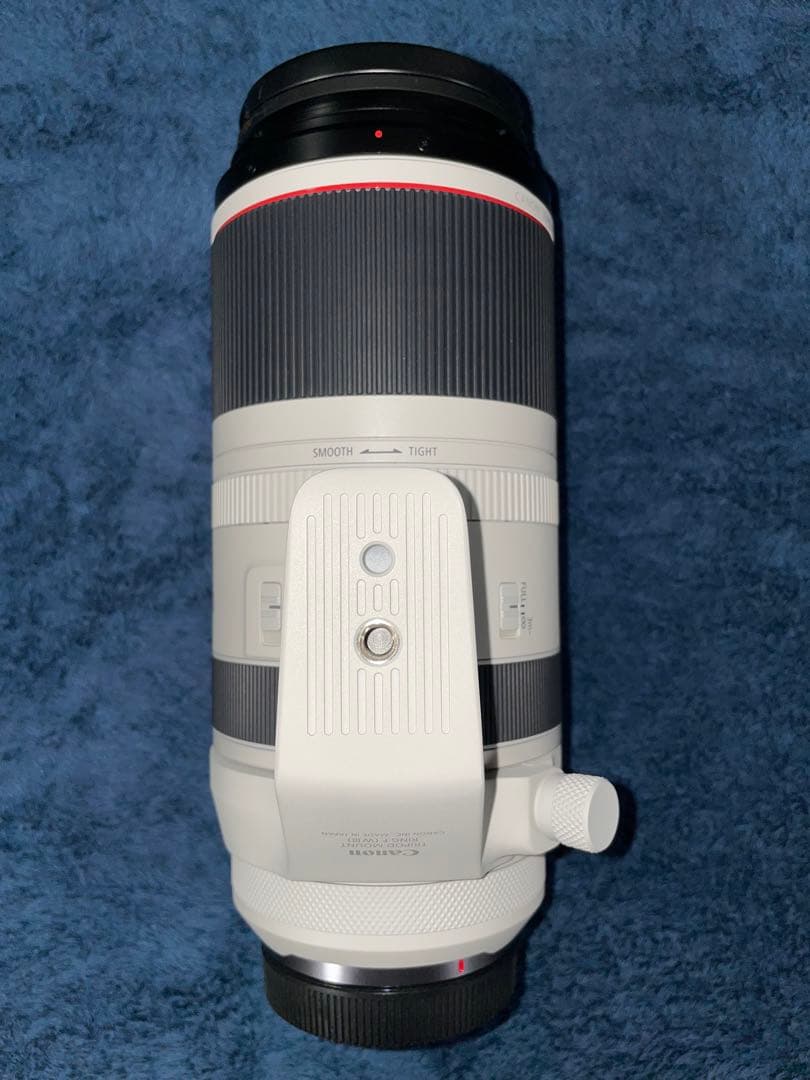 【美品】Canon RF100-500mm F4.5-7.1L IS USM
