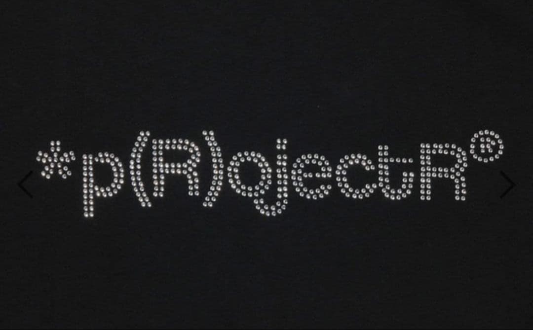 *p(R)ojectR® ロゴラインストーンTシャツ THE RAMPAGE