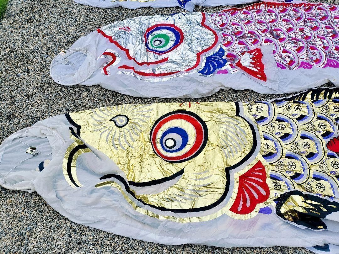 即購入OK 鯉のぼり こいのぼり 金色 おおきい 大きい 5m 金太郎 綺麗