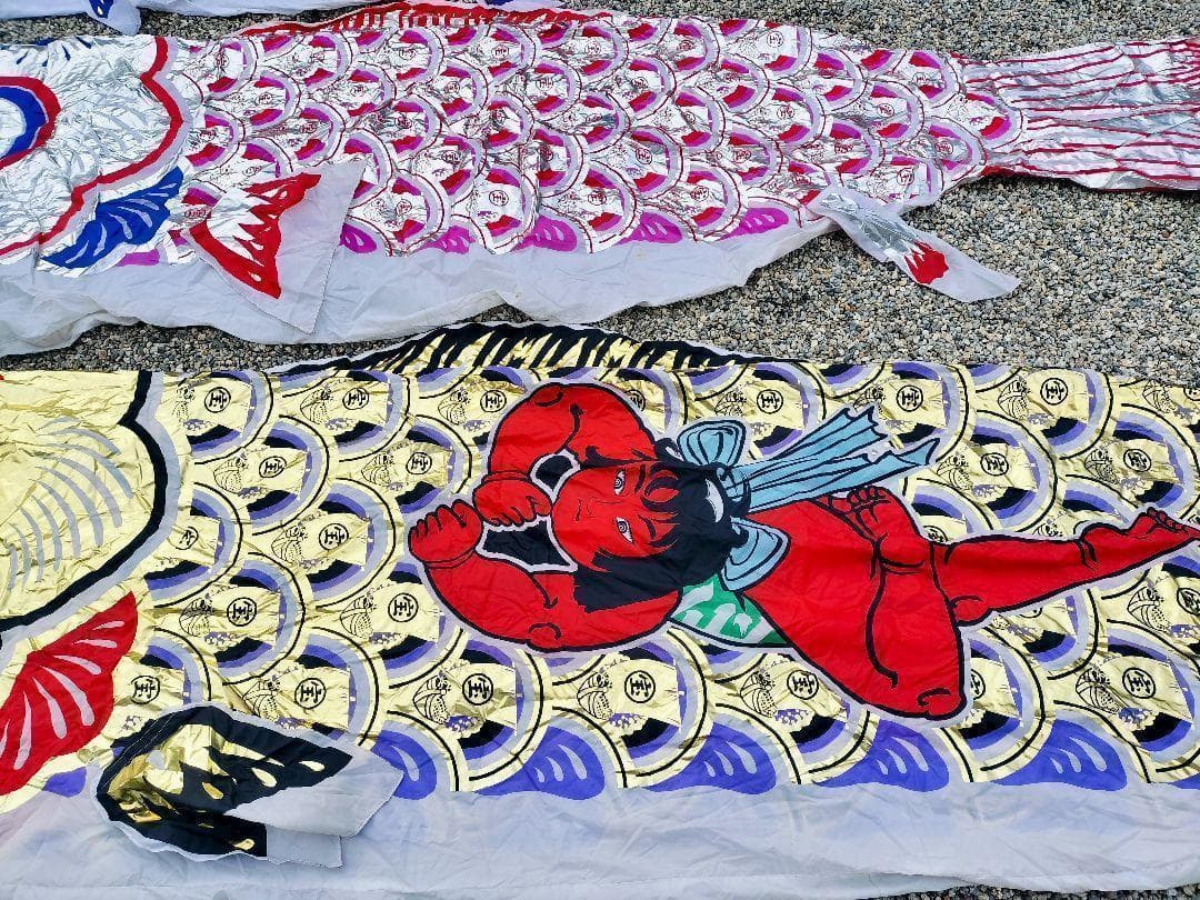 即購入OK 鯉のぼり こいのぼり 金色 おおきい 大きい 5m 金太郎 綺麗