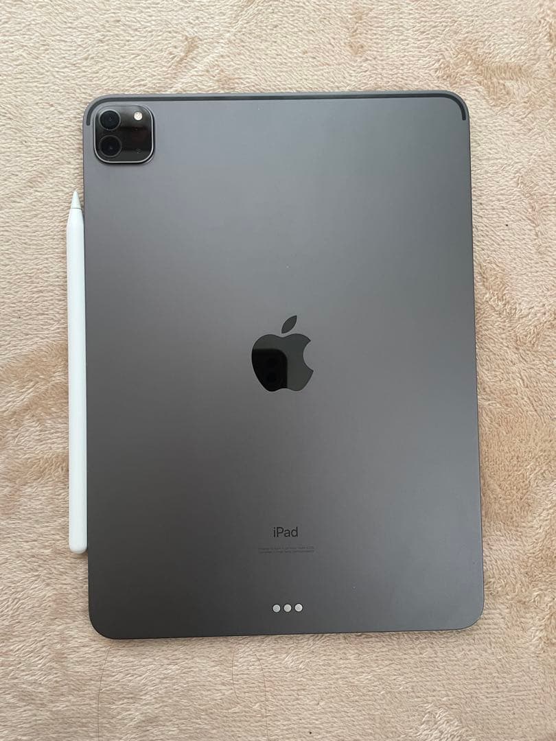 iPad Pro 第2世代 11インチ 256GB