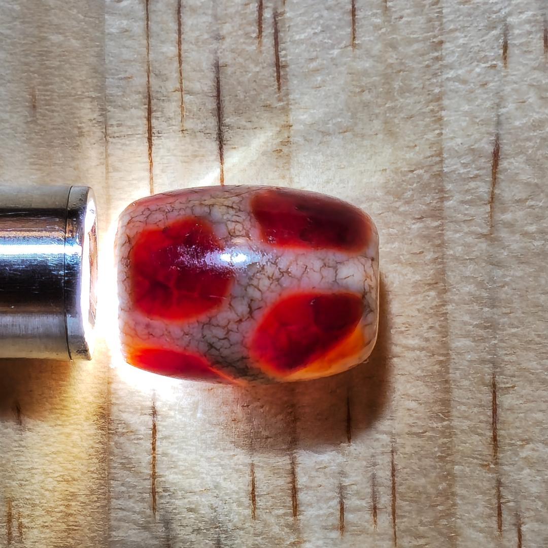 亀甲長寿天珠【龍紋/美紋様】