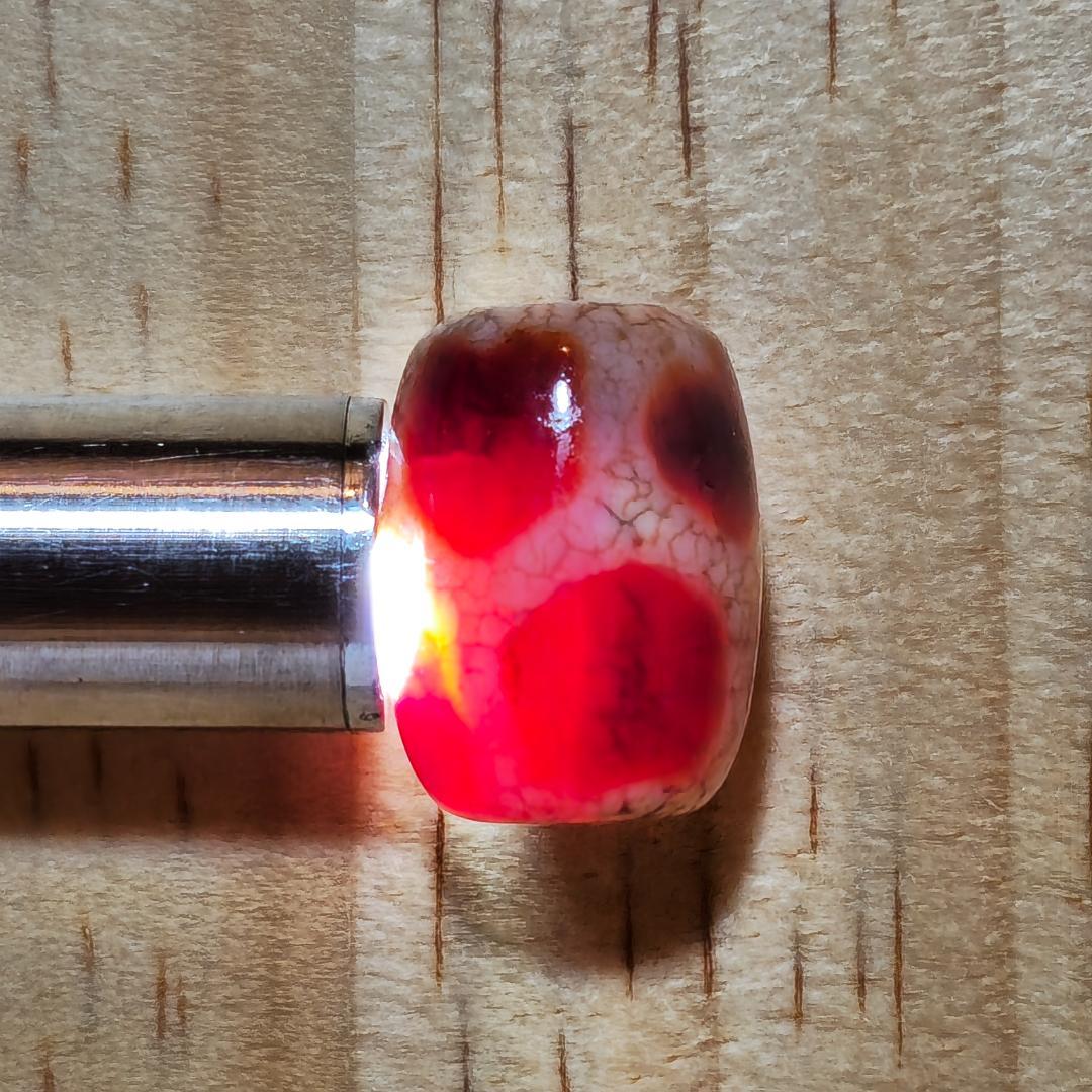 亀甲長寿天珠【龍紋/美紋様】