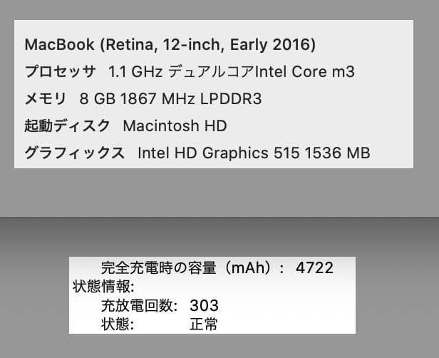 【美品】MacBook Retina 12 (2016)＋Porter製スリーブ