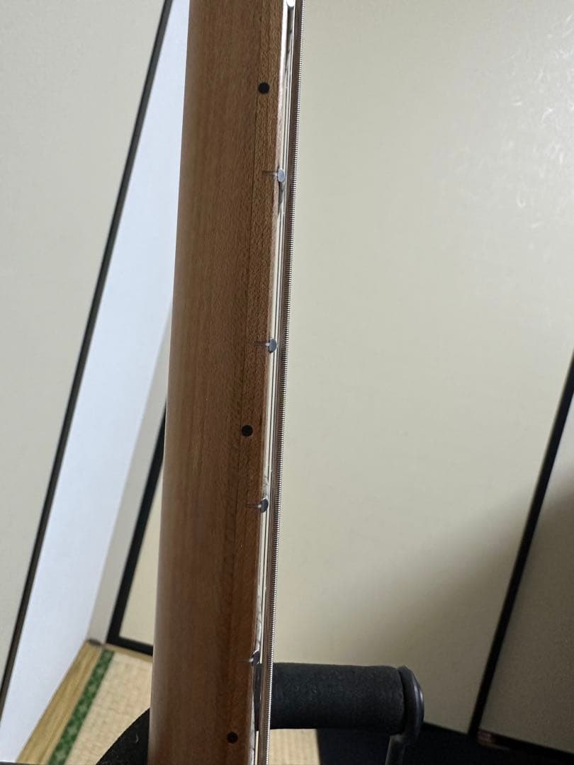 Bacchus GX-2DX RSM ローステッドメイプル エレキギター