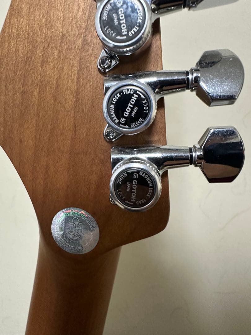 Bacchus GX-2DX RSM ローステッドメイプル エレキギター