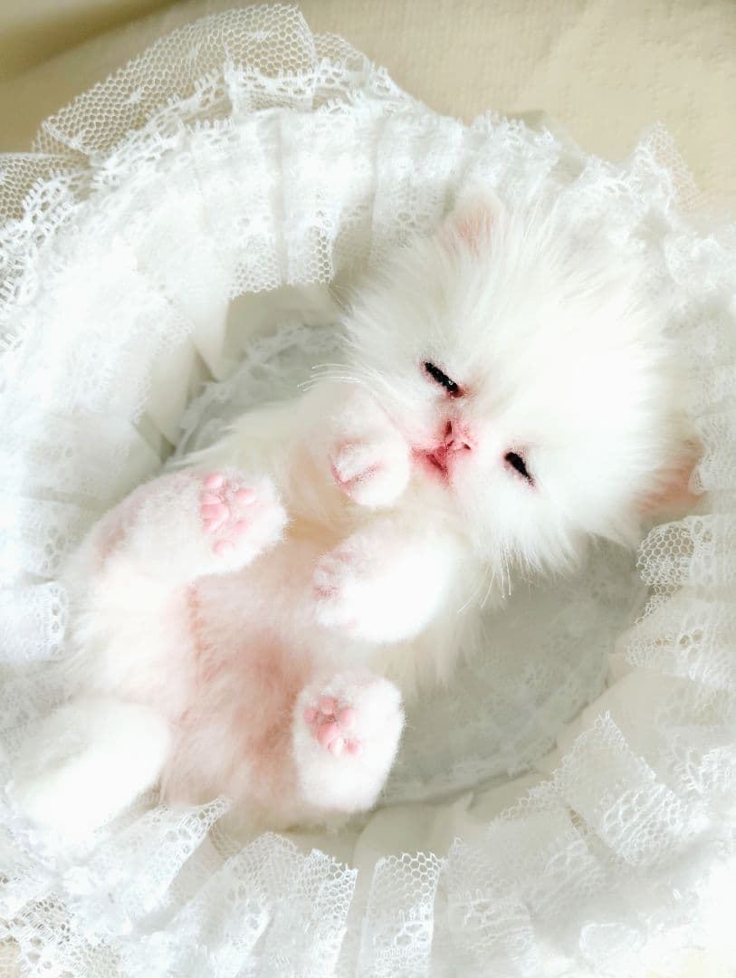 生後10日♡白子猫ちゃん♡お口開閉♡おねんねカゴセット♡アートドール♡ぬいぐるみ