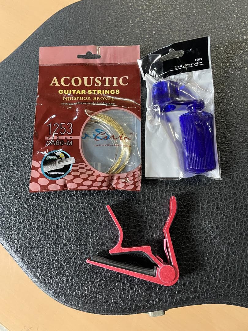 ★ アコースティック ギター Epiphone PR-200 ハードケース付