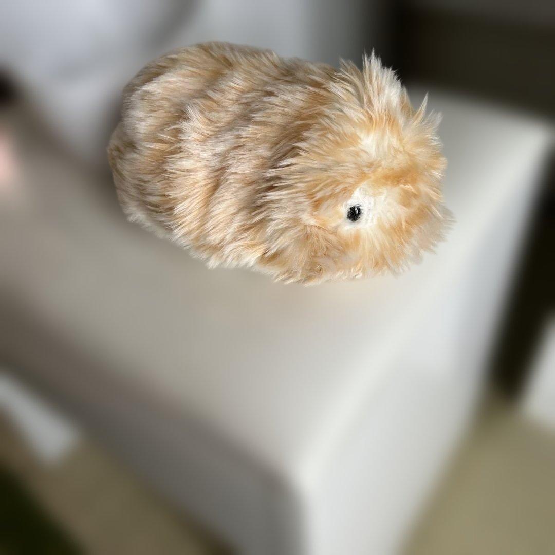 aIペット モフリン ゴールド