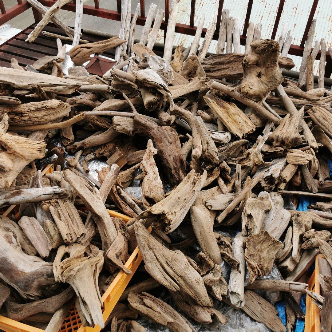 送料無料 ●天然流木●おまかせアソート箱詰めお得格安セット（120サイズ）