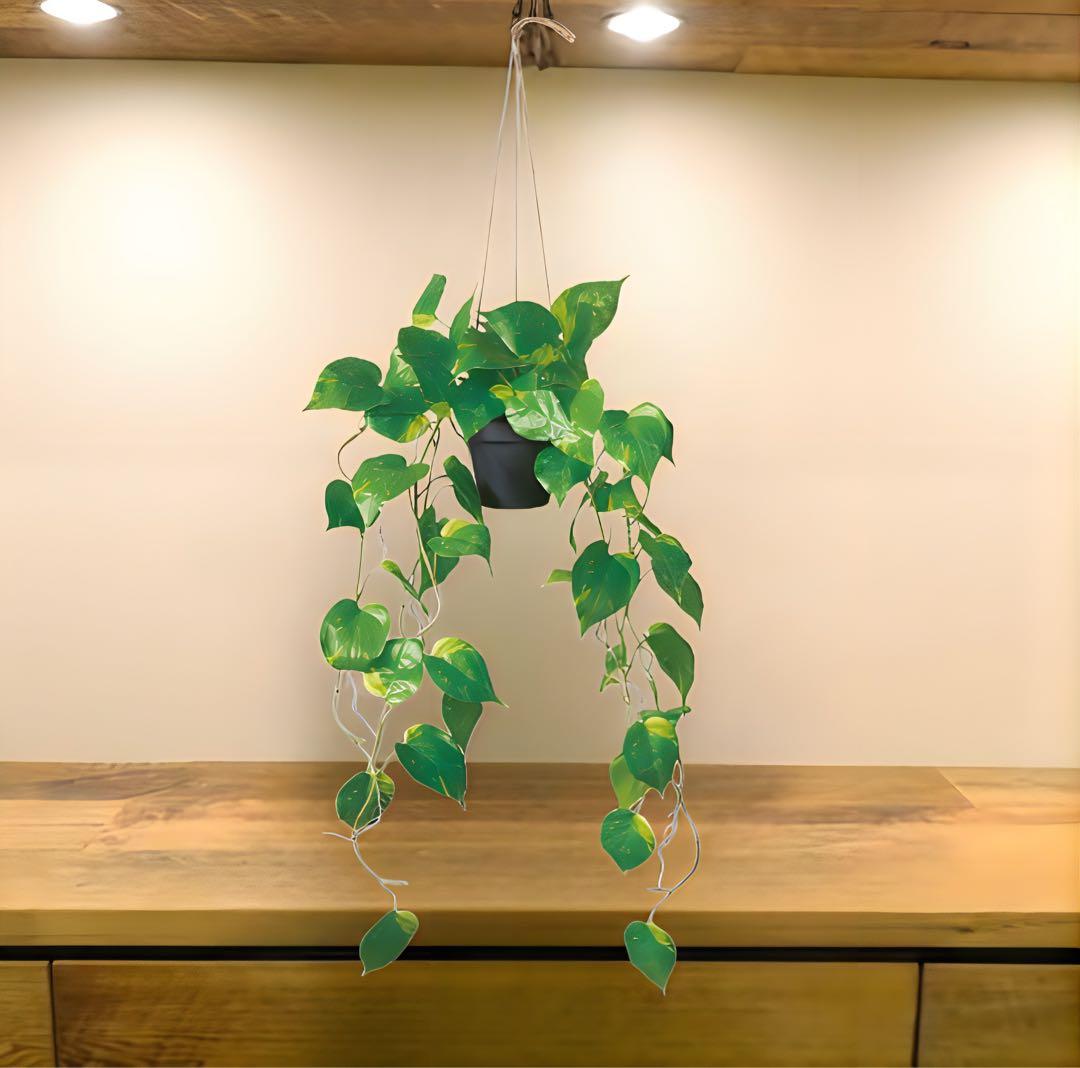光触媒　人工観葉植物　ウォールグリーン　フェイクグリーン　ポトスハンギング