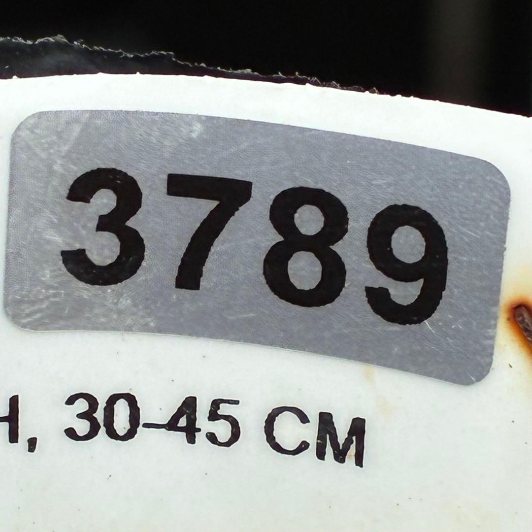 3789☘️2年間管理株☘️タグ付☘️超レア☘️⭐️BELCHERI⭐️PINK ICE系⭐️