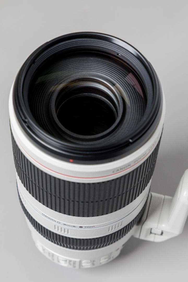 Canon 100-400mm F4.5-5.6 ズームレンズ ET-83D