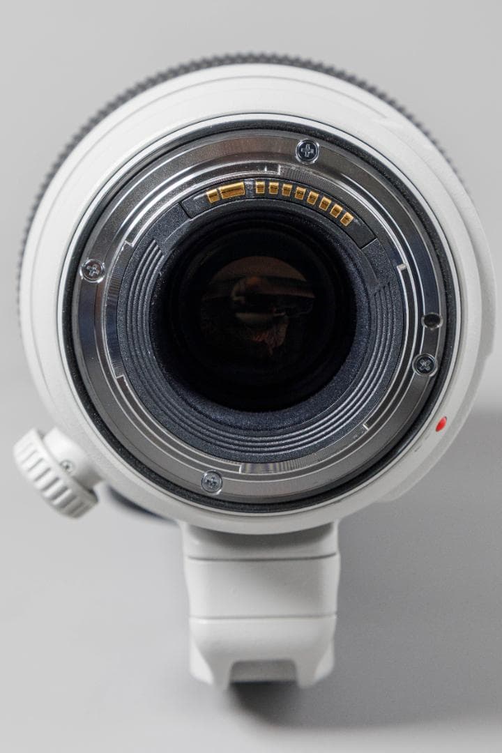 Canon 100-400mm F4.5-5.6 ズームレンズ ET-83D