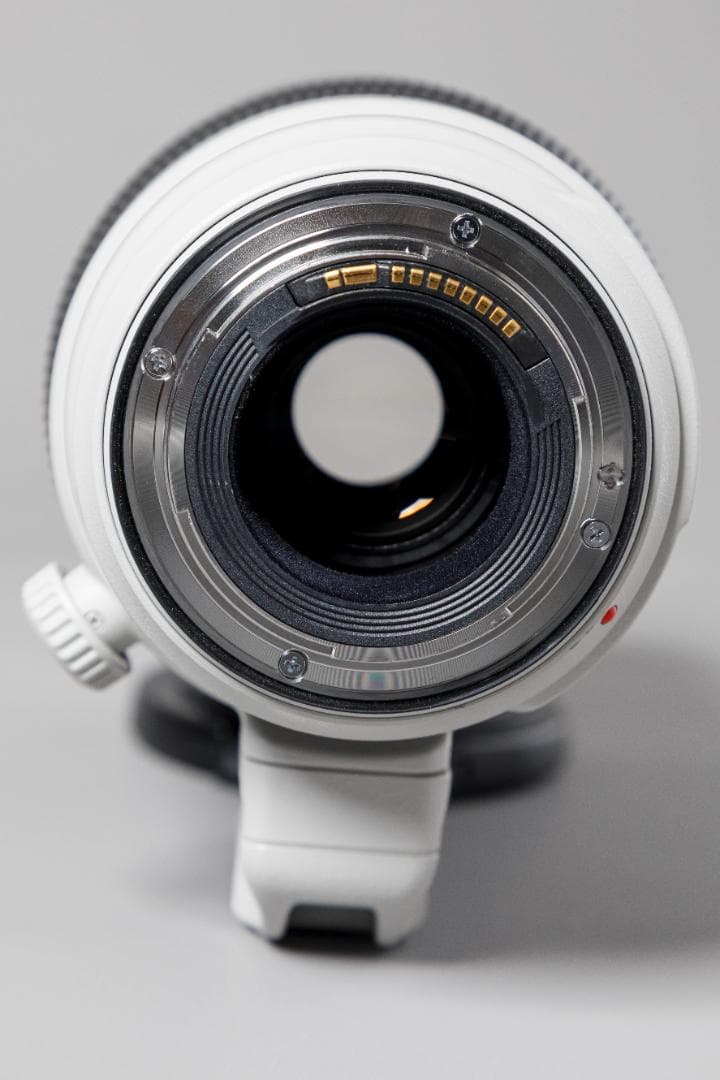 Canon 100-400mm F4.5-5.6 ズームレンズ ET-83D