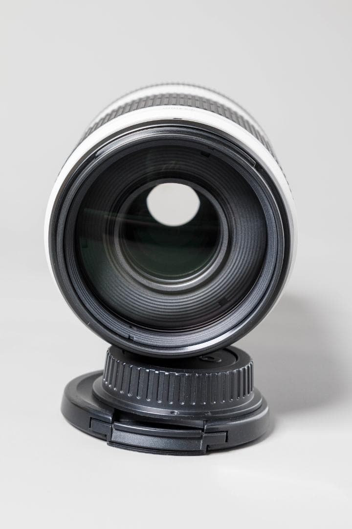 Canon 100-400mm F4.5-5.6 ズームレンズ ET-83D