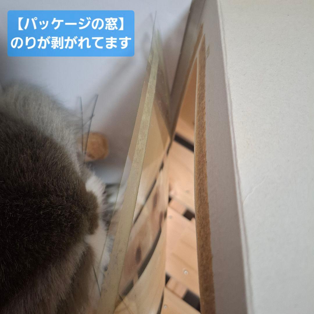 100万回生きたねこ 特別ボックス