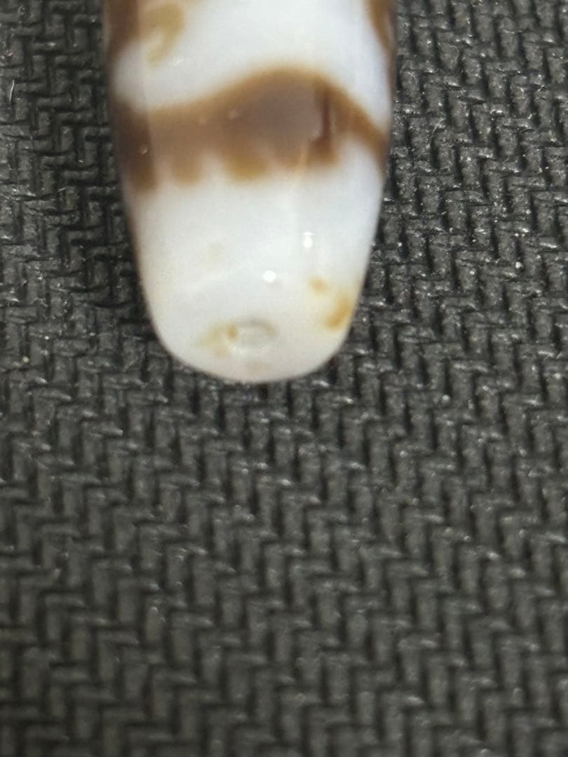 超激レア‼︎ 至純 白皇帝龍神天珠 風水　希少高級天珠 白五本爪龍神天珠