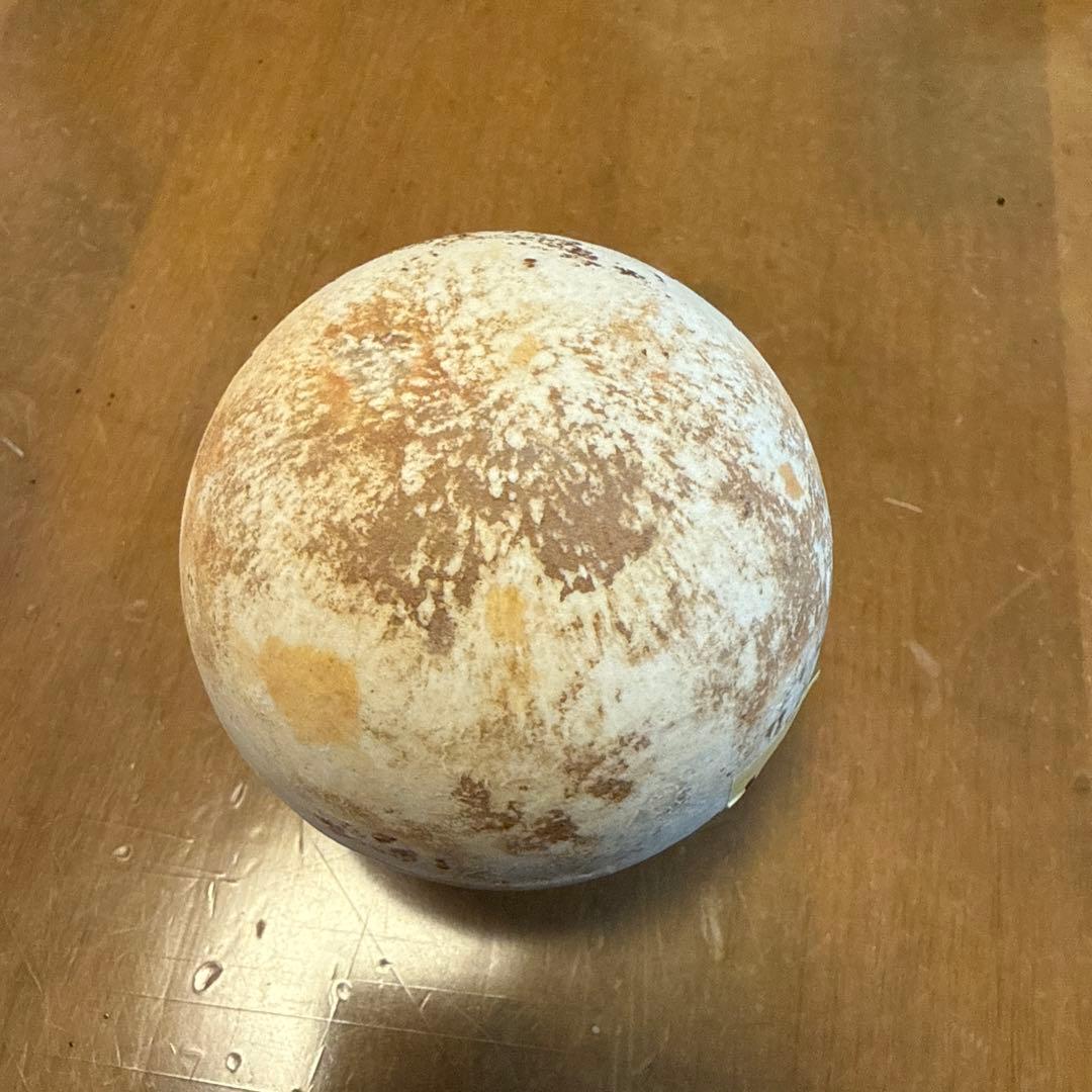 陶器製手榴弾　一輪挿し4点セット