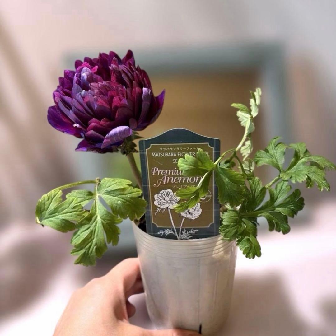 ジャスミン様　リクエスト　おまとめ6点