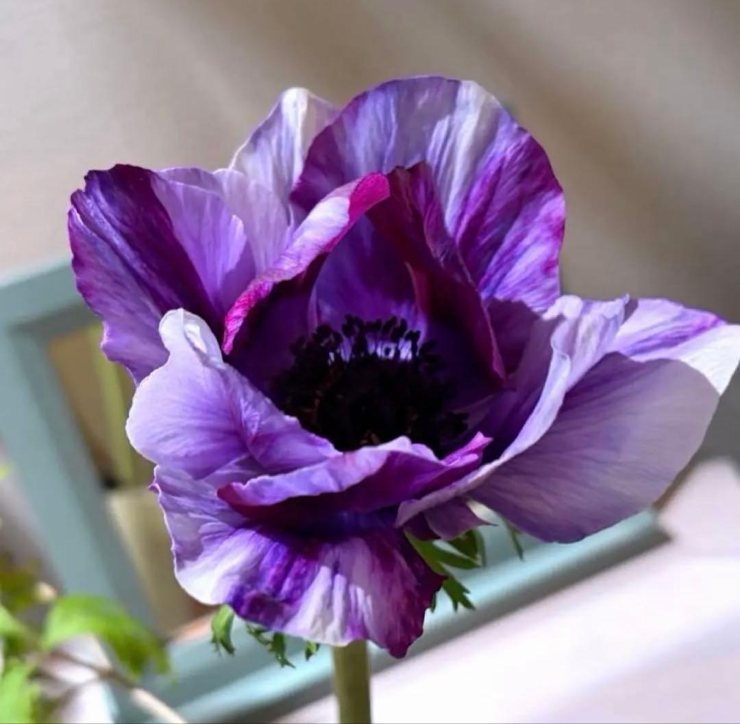 ジャスミン様　リクエスト　おまとめ6点