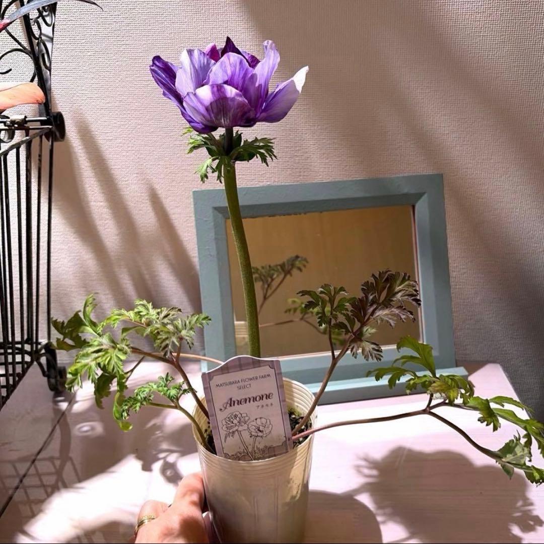 ジャスミン様　リクエスト　おまとめ6点