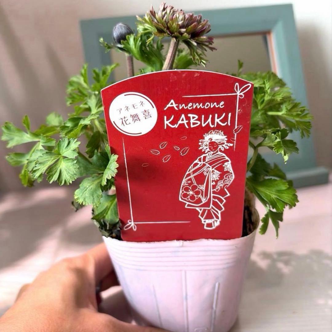 ジャスミン様　リクエスト　おまとめ6点