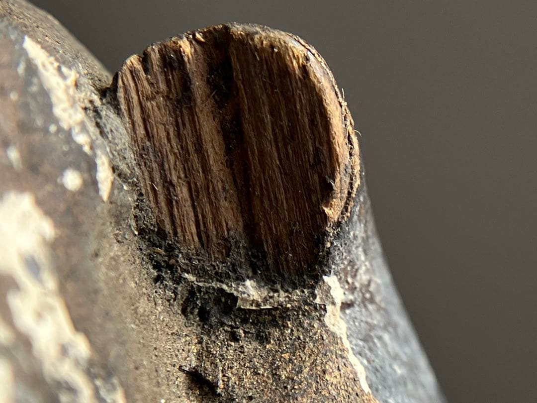 【恐れるな、、仏像の手 江戸中期頃 約13㎝ 施無畏印 木彫仏手残欠】骨董古美術