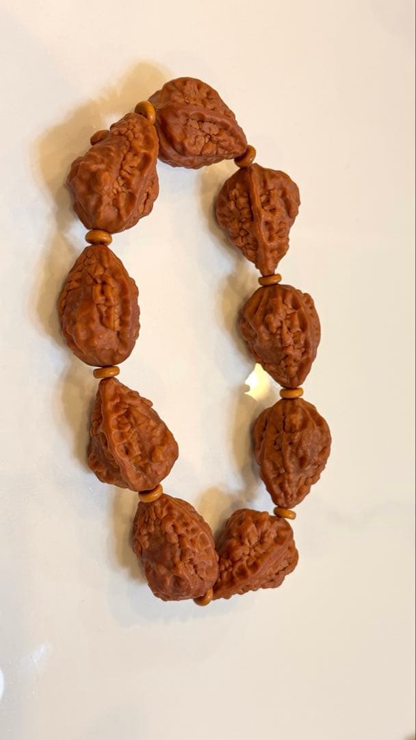 1.9-2麒麟角