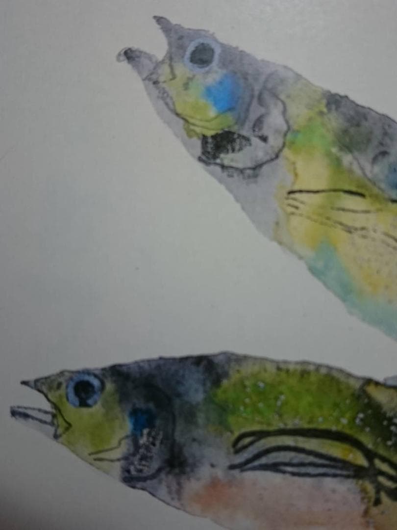 片岡 鶴太郎、【あじ】、希少画集画、状態良好、四季、自然、新品額 額装付