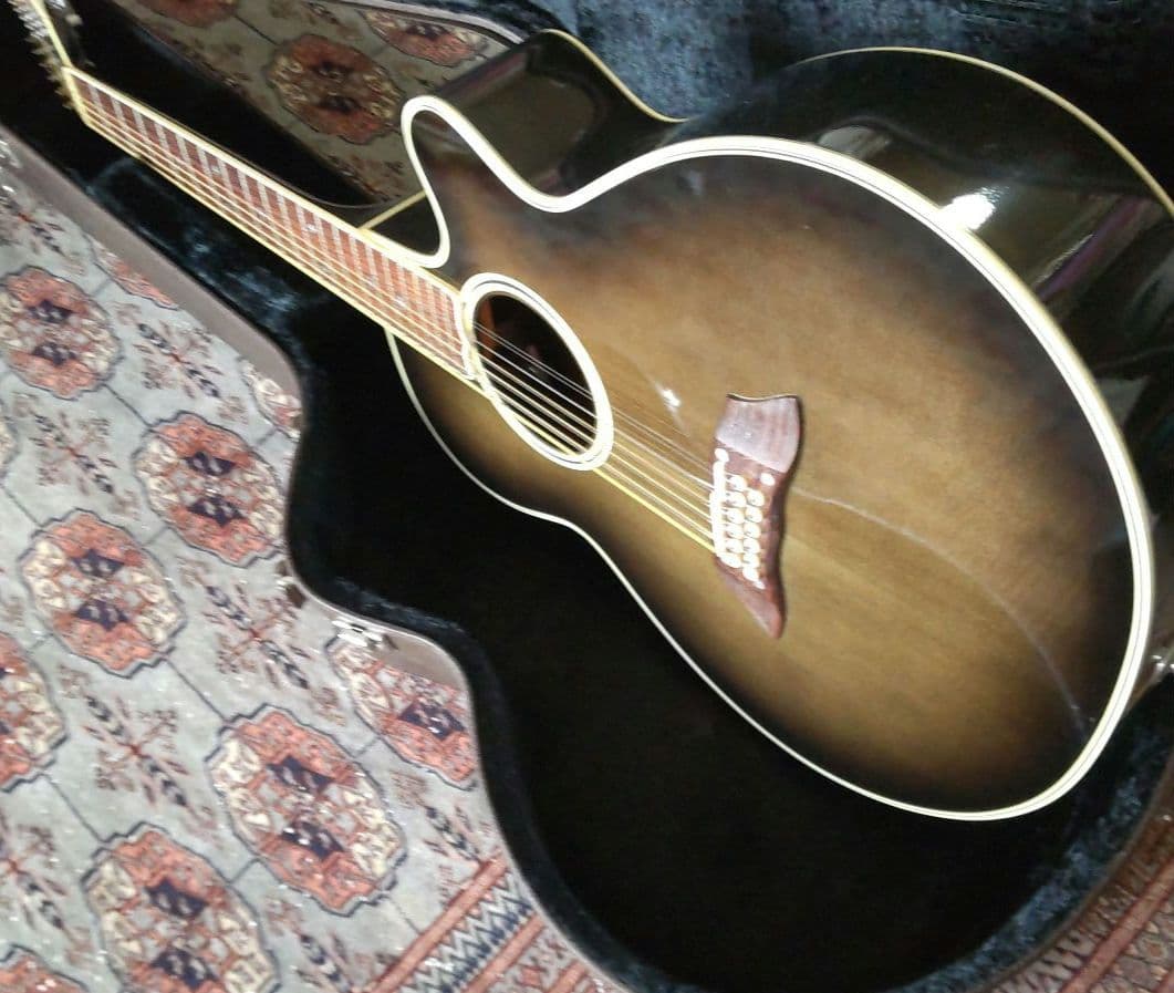 Takamine 12弦アコースティックギターNPT-110-12プリアンプ不良